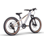 Barncykel Eightshot X-Coady 20 Disc Grey