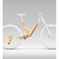 El MTB Orbea Rallon RS-Team Fuel Carbon View/Magic Gold