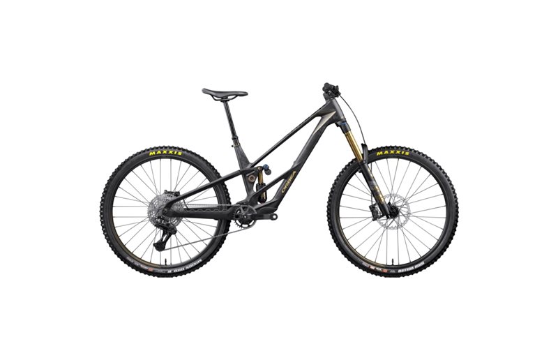 El MTB Orbea Rallon RS-Team Fuel Carbon View/Magic Gold