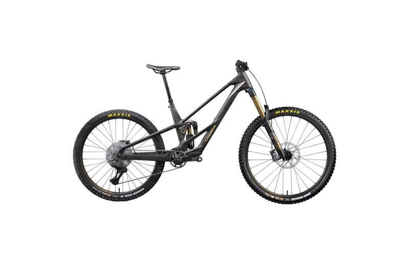 El MTB Orbea Rallon RS-LTD Mullet Fuel Carbon View/Magic Gold