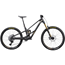 El MTB Orbea Rallon RS-LTD Mullet Fuel Carbon View/Magic Gold