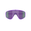 Solglasögon Bliz A004 Transparent Purple/Smoke-Purple Multicolour