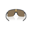 Cykelglasögon Oakley Sutro Lite S Matte Carbon/Prizm 24K