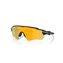 Polished Black-Prizm 24K Polarized