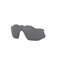 Prizm Black Polarized