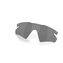 Prizm Grey Polarized