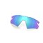 Prizm Sapphire Polarized