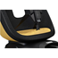 Cykelbarnstol Thule Yepp Nexxt 2 Maxi Frame Mount Burnished yellow