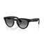 Black-Graphite Polarized