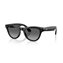 Black-Graphite Polarized