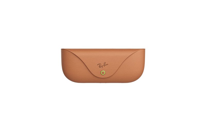 Opladningsetui Ray-Ban Meta Case Brown
