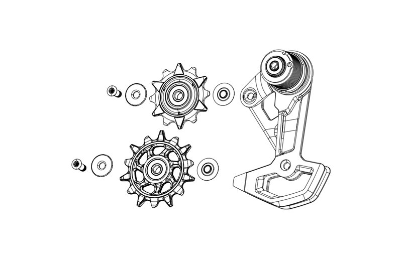 SRAM XX DH T-TYPE AXS Cage Assembly