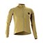 Brass Brown