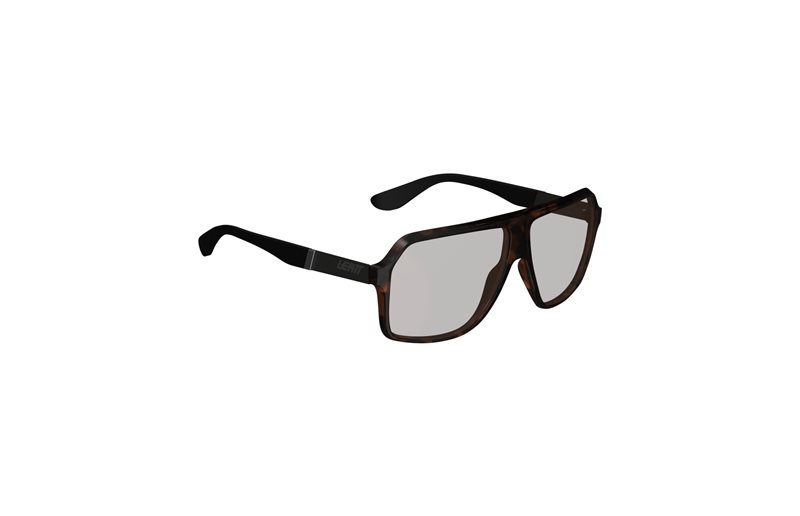 Aurinkolasit Leatt TheViz Andes Polarized Brown-Silver