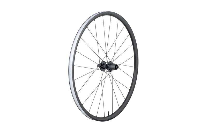 Bakhjul Bontrager Paradigm 23 TLR 700c