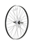 Bakhjul Trek Precaliber 24 8-Speed Wheel