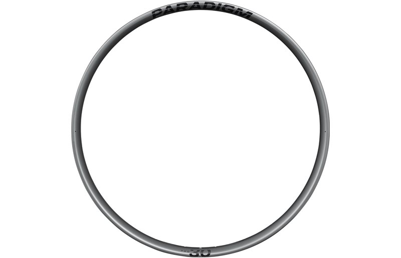 Felg Bontrager Paradigm Pro 30 TLR 29"