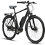 Elcykel Made Linum Herr Black