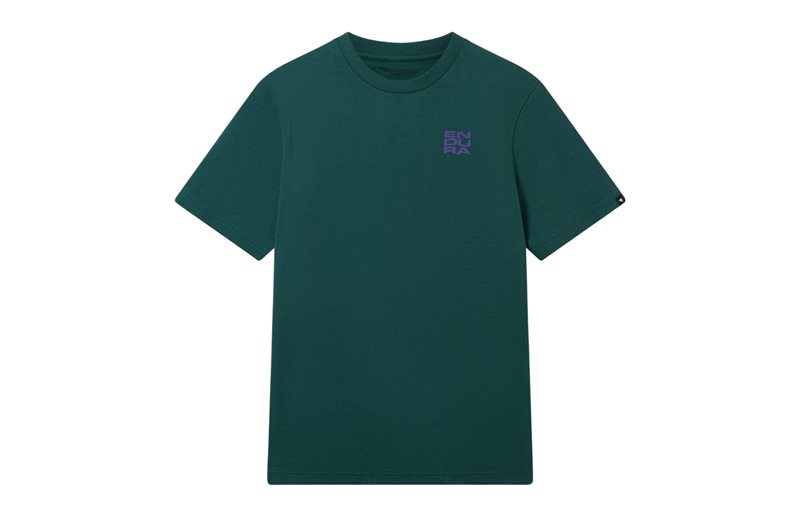 Cykeltröja Endura Stacked Logo Graphic Teal