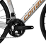 Racercykel Corratec CCT Team Race Silver/Gold