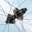 Bakhjul ZIPP 202 NSW Carbon 28" CL 12x142 SRAM XDR