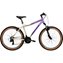 Purple/Silver