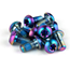 SRAM Rotor Bolt Kit Titanium T25 Rainbow 12st