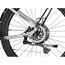 Elsykkel Superior eRX 6.4 LS Gloss Soft Green