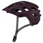 Raisin