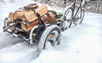Burley Cykelkärra Cargo Trailer Flatbed