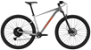 Maastopyörä Cannondale Trail Sl1 29 Stealth Harmaa
