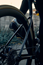 Cannondale Racer Allround SuperSix EVO Carbon Disc Ultegra CASHMERE