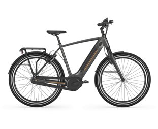 Gazelle Ultimate C8+ Hmb Herr