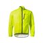 Neon Yellow