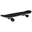 Sandbar Skateboard Shark 31 X 8