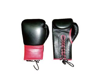 Titan Life Boxing Glove Training